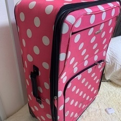 大容量キャリーケースの画像