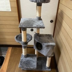 キャットタワー譲ります。