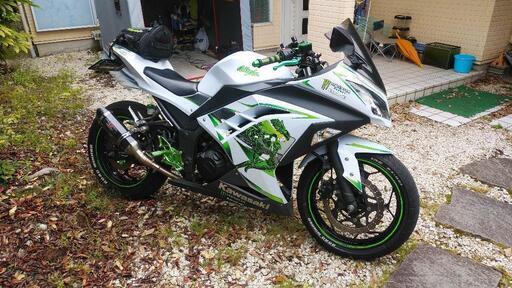 ZX-14Rの2018年モデル、正式発表！: ヘタレおじさんのバイク日記