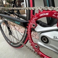 Bianchi カメレオンテ 整備済　の画像