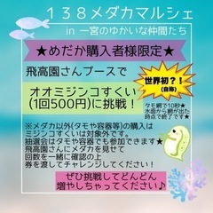 2023.11.12 138メダカマルシェ (愛知) - その他