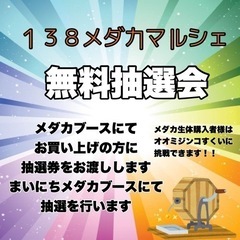 2023.11.12 138メダカマルシェ (愛知) - 一宮市