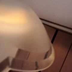 蛍光灯 ジャンク品の画像