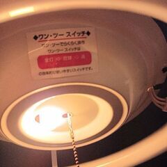 蛍光灯 ジャンク品の画像