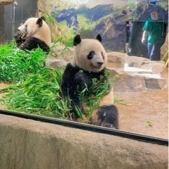 動物好きな人、集合〜✨