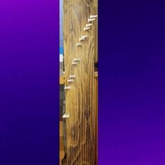 お琴