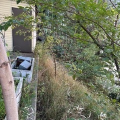 工場裏の草取り