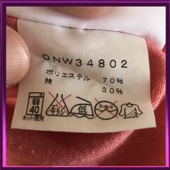 THE NORTH FACE レディースTシャツ サイズ:Lの画像