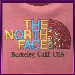THE NORTH FACE レディースTシャツ サイズ:Lの画像