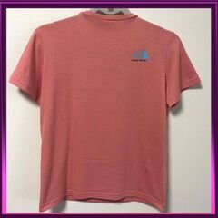 THE NORTH FACE レディースTシャツ サイズ:Lの画像