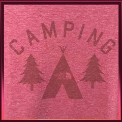 THE NORTH FACE レディースTシャツ サイズ:Mの画像