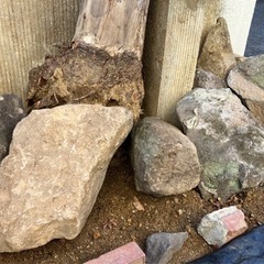 庭石　差し上げますの画像