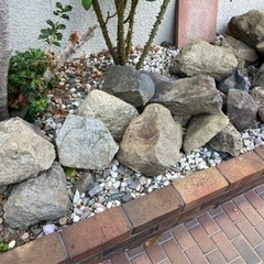 庭石　差し上げます