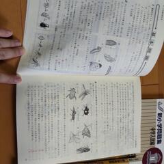 新小学問題集 理科 ステージ1 2 3の３冊セットの画像