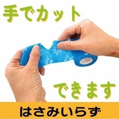 ペット　テーピング　1個200円　15個まで対応可の画像