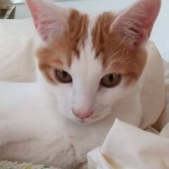 人見知りくんですが馴れるとめっちゃ甘えっ子です