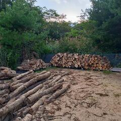 薪販売致します　未燥薪　小分け有　スウェーデントーチの画像