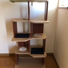 キャットタワー