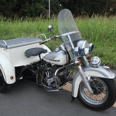 訳あり☆１９６５モデル☆ 【GE750　サービカー　WL 】 ！...