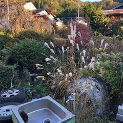 庭石等々､差し上げますの画像