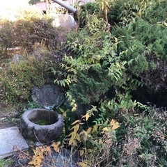 庭石等々､差し上げます