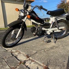 実働　希少車　トモス　アルピノの画像