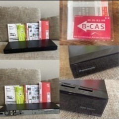 ジェラートピケセットアップペアジェラピケ新品未使用上下セットベア