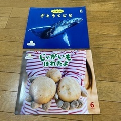 絵本 サンチャイルド ビッグサイエンス 2冊