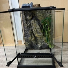 GEX エキゾテラ グラステラリウム3045 爬虫類ケージ
