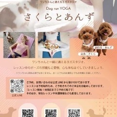 ワンちゃんと通えるヨガスタジオ　11/11 ワンワンDAY企画