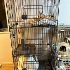 猫用ゲージ(キャットゲージ)