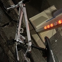 カノーバー白