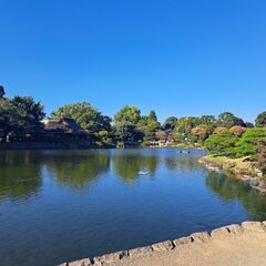 一緒に散歩に行きませんか？