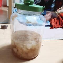 酵素ジュース🫙 - 笠間市