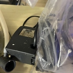 ※ジャンク　リーフオクトパスの画像