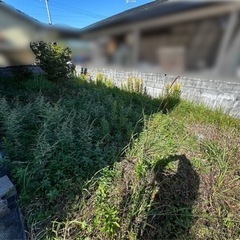 女性対応です　草でお困りの方草刈りします
