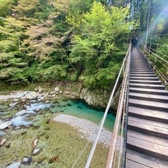 西三河でお友達募集中☺️