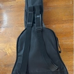 WoodLand ギター　ケース付きの画像