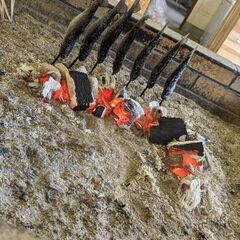 楽しいところ探してる人〜🙋 − 岩手県