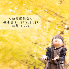 日程追加！！年賀状にもオススメ！紅葉撮影会【印西市】