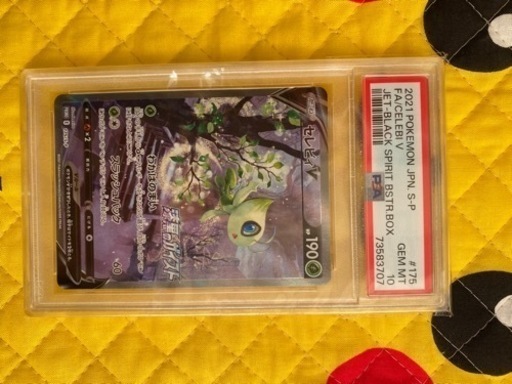 セレビーV SA PSA10