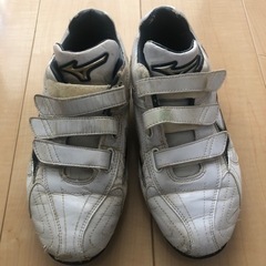 捨てようと思うので格安で！ミズノ　トレシュー　野球　　24.0 