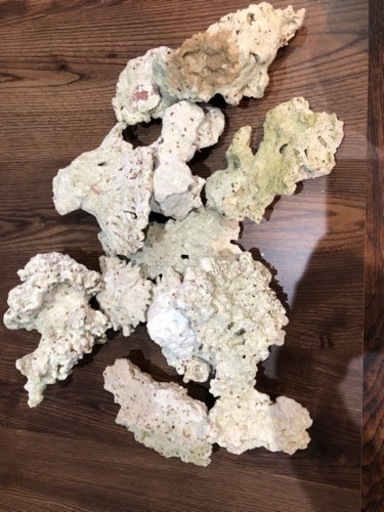 海水魚用品 デスロック