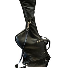 【受け渡し決定】orville by gibson エレキギターの画像