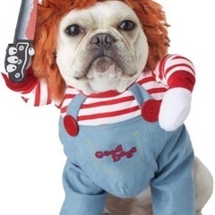 ペット用 コスチューム（犬用）の画像