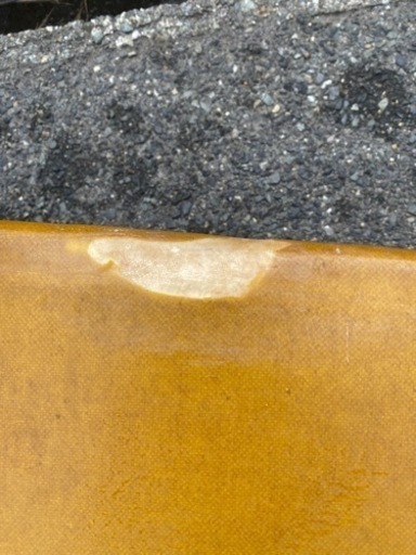 ジョシュ　オルデンバーグ　ミッドレングス
