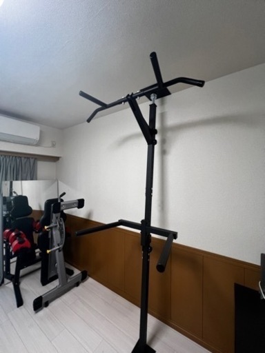 teddy works  KENSUI  ディップスバーセット