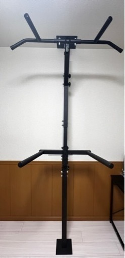 teddy works  KENSUI  ディップスバーセット