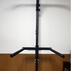 teddy works KENSUI ディップスバーセット