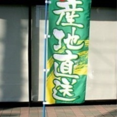 ノボリ　ポール　イベントグッズ　8セットあります。の画像